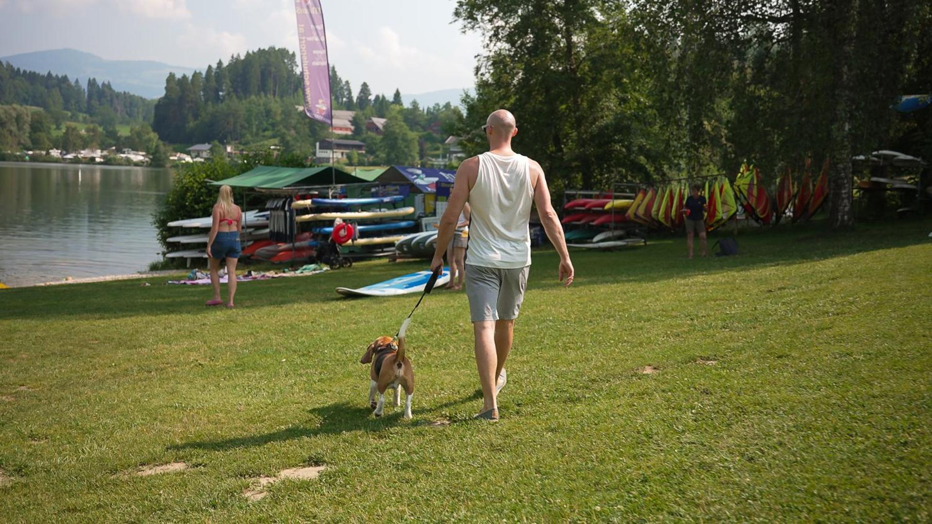Feriendorf Am Maltschacher See 菲尔德茵卡特 外观 照片